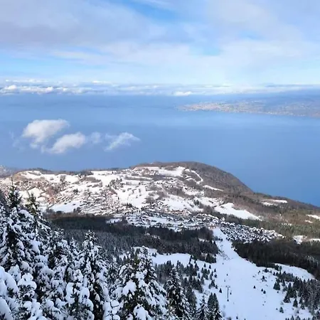 Evasion Alpine, Ski, Vue Leman Thollon-les-Memises