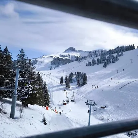 Evasion Alpine, Ski, Vue Leman Thollon-les-Memises