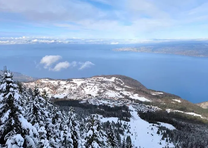 Evasion Alpine, & Vue Leman Thollon-les-Memises